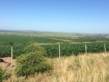 Rural à Venda
